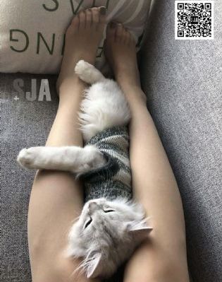 侵入者_剧情片电影在线观看