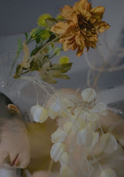 21世纪型爱指南_高清高清视频观看